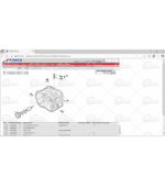 IVECO POWER TRUCKS & BUS EPC Q1 [2025.01] - Image 7