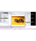 SSANGYONG EPC SYSTEM [2019.07] - Image 7
